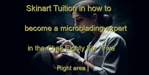 Skinart Tuition in how to become a microblading expert in the Chak Eighty Six   Five Right area | MicrobladingTraining | MicrobladingClasses | SkinartTraining-Pakistan